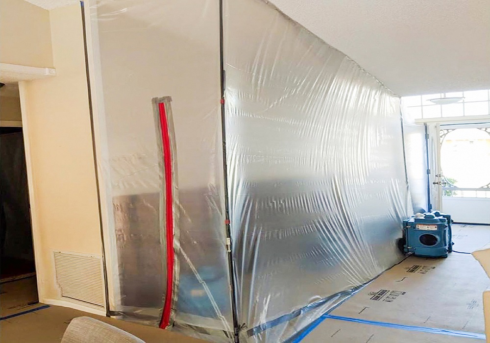 mold remediation and inspection Brandon FL